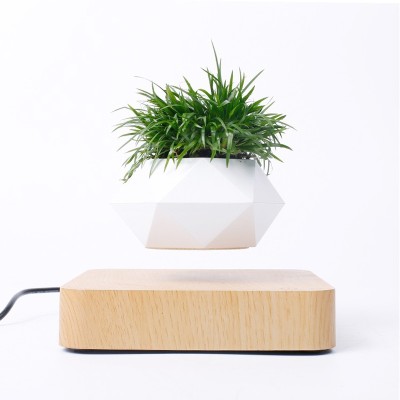 Chậu cây mini từ khí bonsai chất lượng cao 600x600x500mm