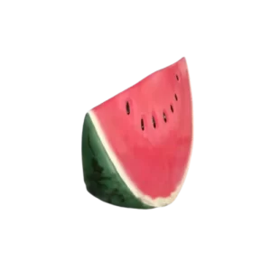 bf619ddb1acfeb91b2de 1 removebg preview 1 59618