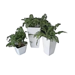 chau hoa composite frp hinh chu nhat 43380